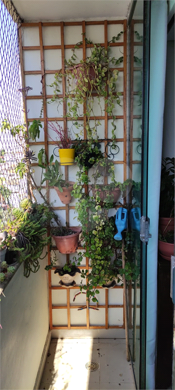 APARTAMENTO NO BARRO BRANCO ZN DE SÃO PAULO