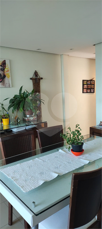 APARTAMENTO NO BARRO BRANCO ZN DE SÃO PAULO