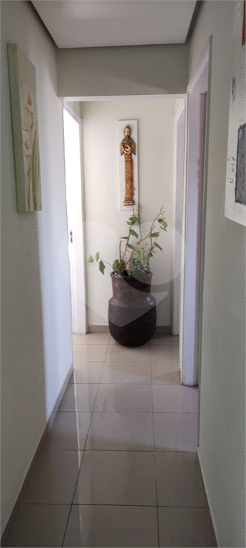 APARTAMENTO NO BARRO BRANCO ZN DE SÃO PAULO