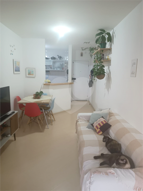Apartamento à venda no Mandaqui – 2 quartos, sendo 1 suíte, 1 vaga de garagem, Andar Alto vista livre