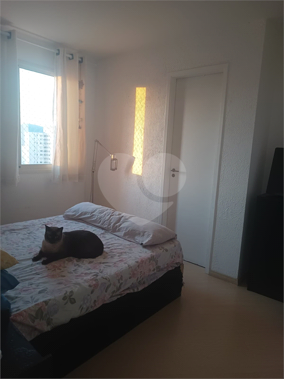 Apartamento à venda no Mandaqui – 2 quartos, sendo 1 suíte, 1 vaga de garagem, Andar Alto vista livre