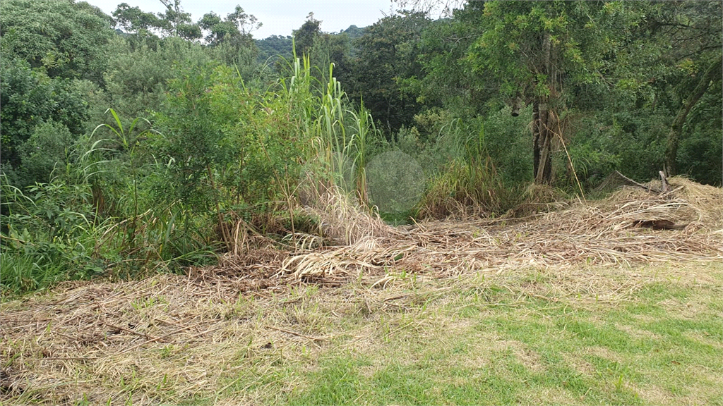 Terreno à venda, 3030m² - Foto 6