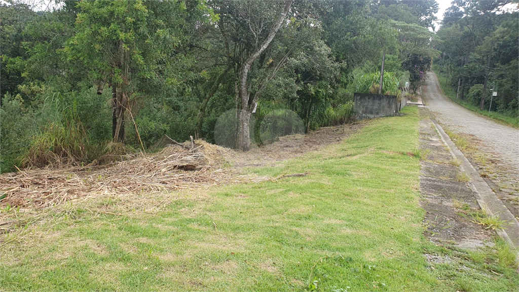 Terreno à venda, 3030m² - Foto 5