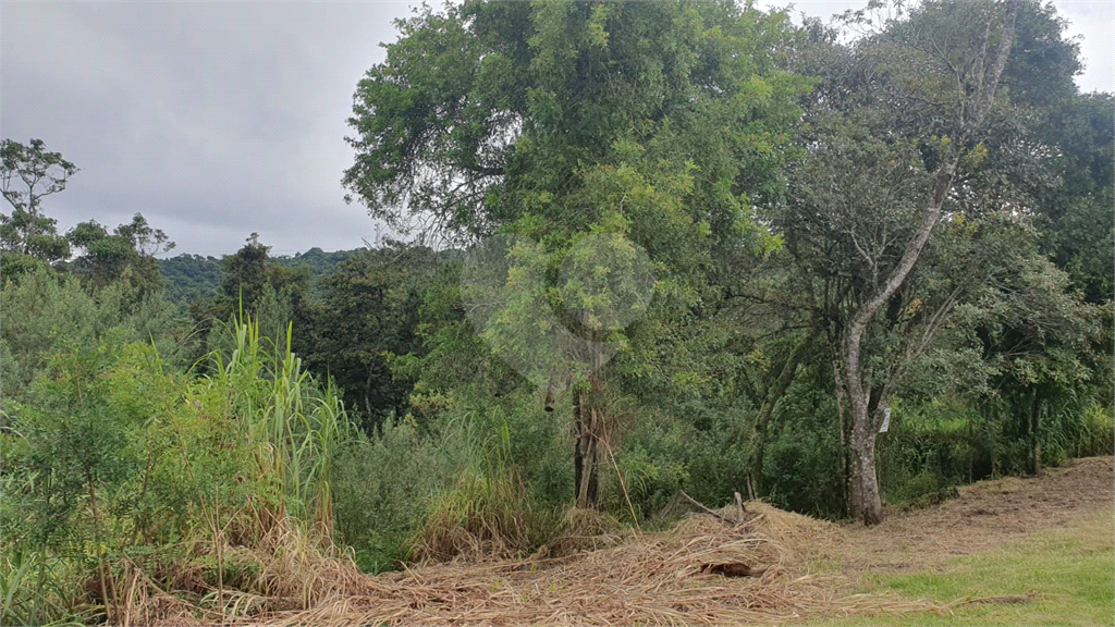 Terreno à venda, 3030m² - Foto 8