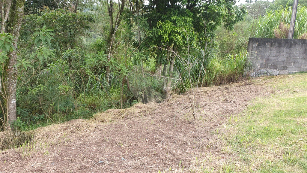 Terreno à venda, 3030m² - Foto 4