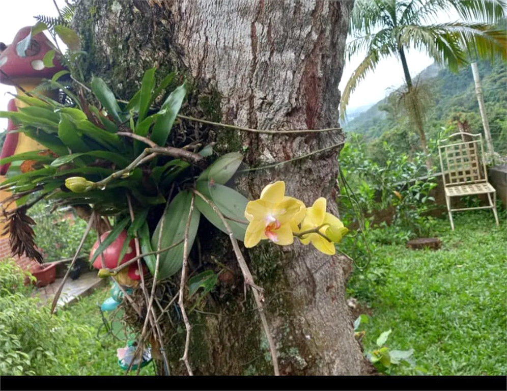 CHÁCARA em PEDRA VERMELHA (TERRA PRETA)