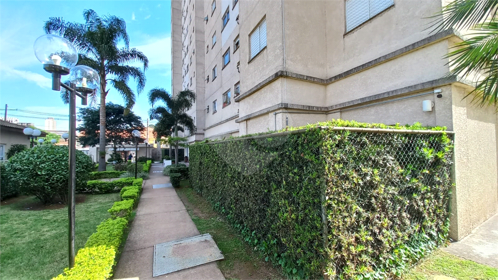 Apartamento à Venda no Jaçanã – 58m² 2 dormitórios com Quintal e Financia pelo Minha Casa Minha Vida