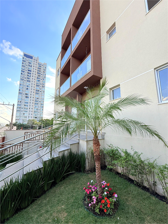 APARTAMENTO em SANTA TERESINHA