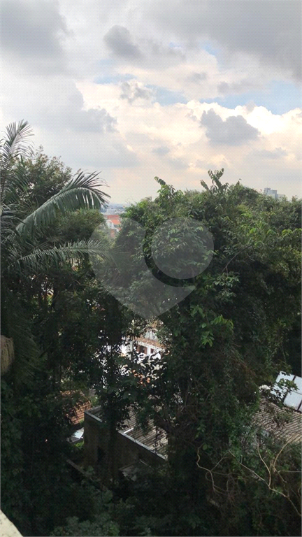 Apartamento novo vila Arnoni