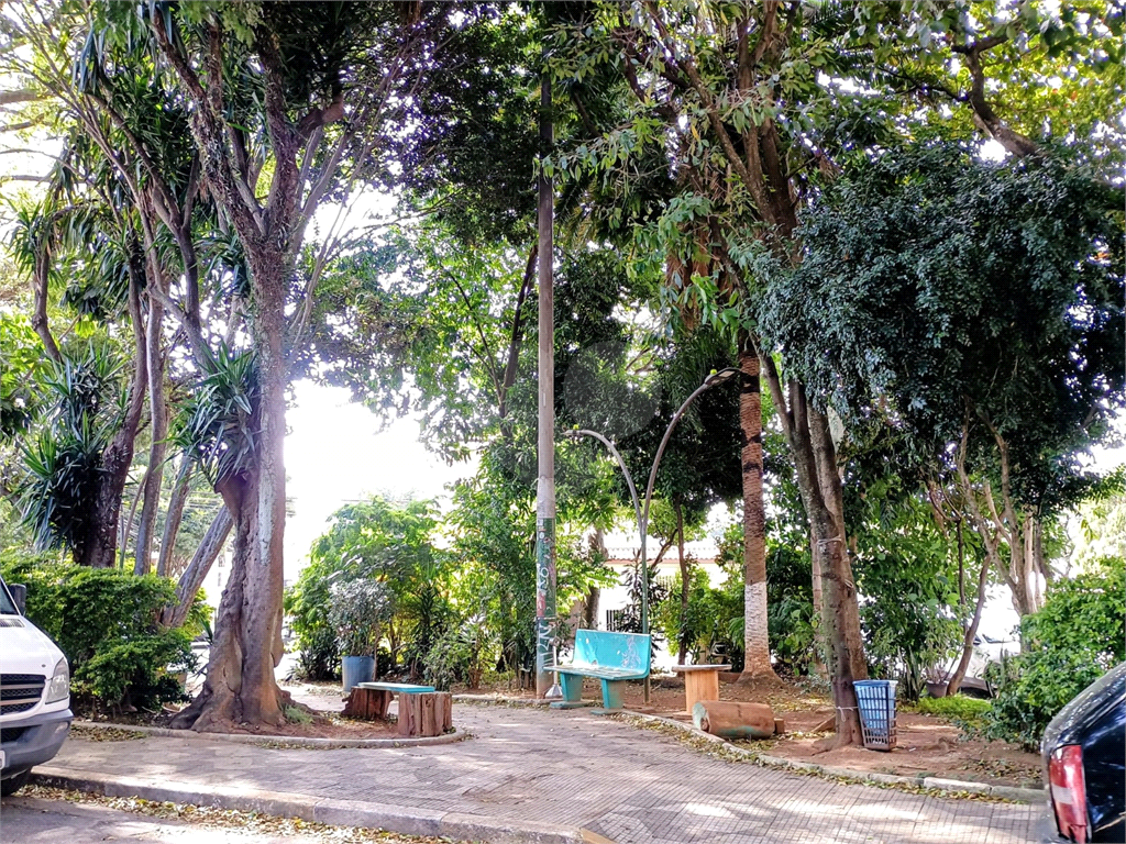Comercial na Santa Trezinha