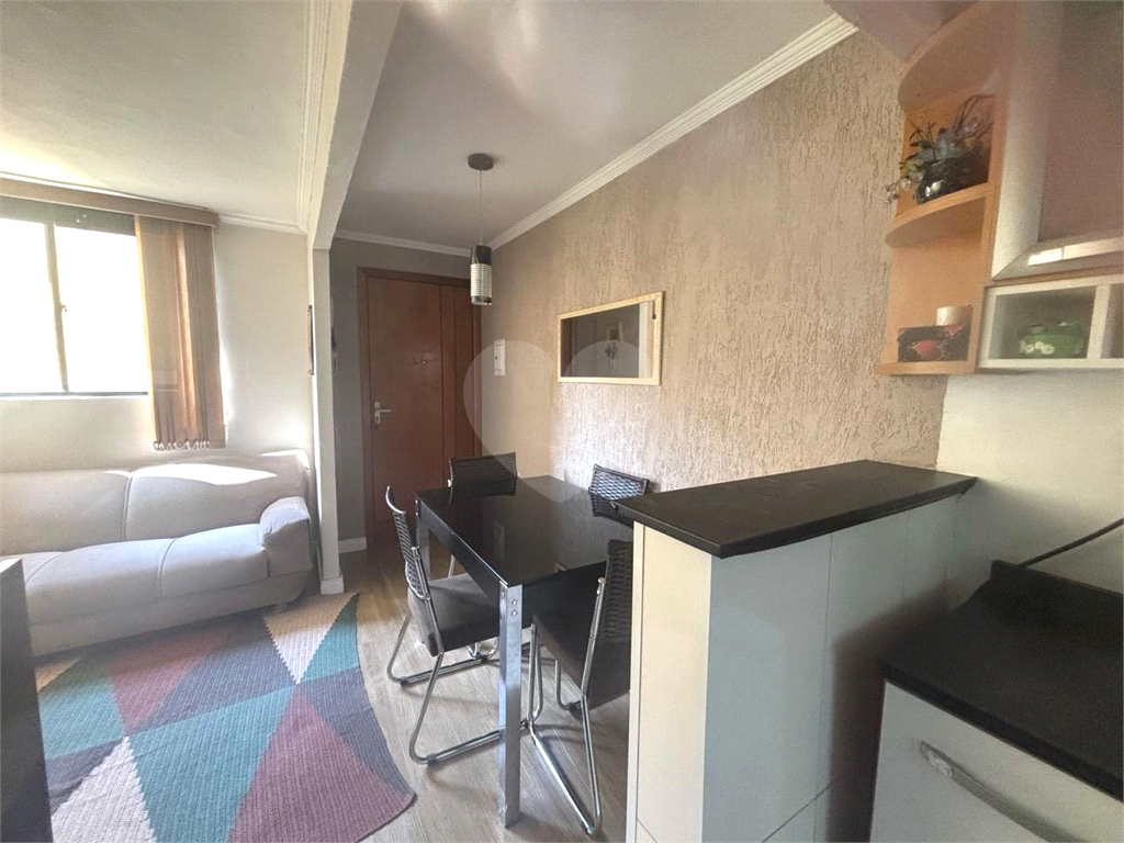 APARTAMENTO em HORTO