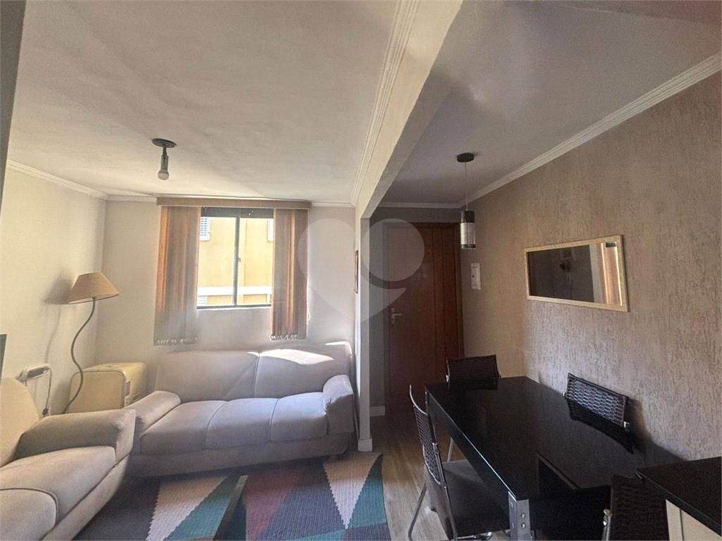 APARTAMENTO em HORTO