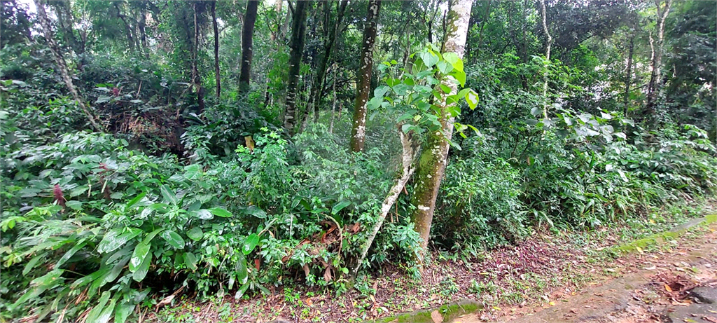 Casa de Condomínio à venda, 1365m² - Foto 2