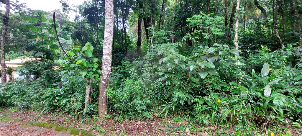 Casa de Condomínio à venda, 1365m² - Foto 4
