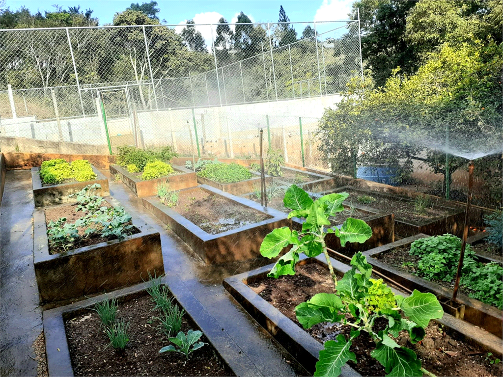 Terreno à venda, 2647m² - Foto 9