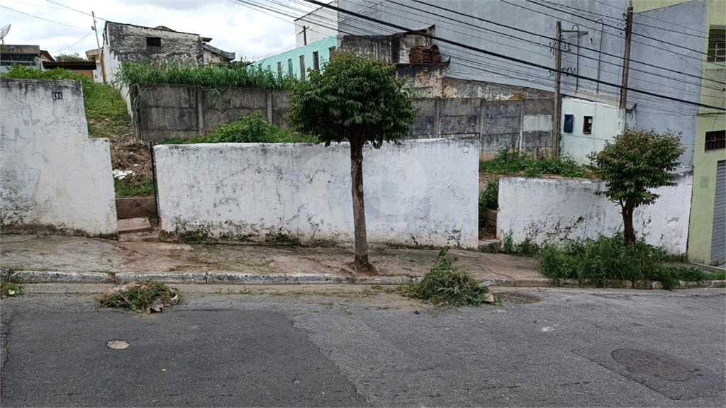 Terreno à venda na Casa Verde Alta - 1500,00 metros quadrados - 30 frente por 50 fundos