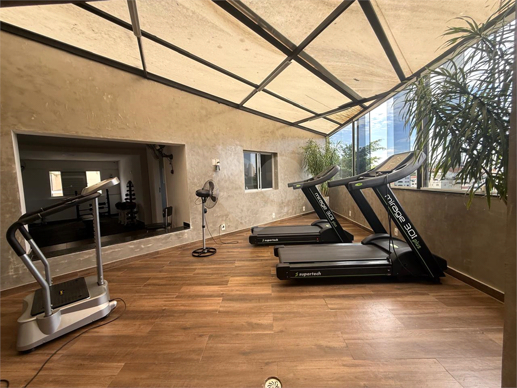 Apartamento - Venda - Santana- Mandaqui