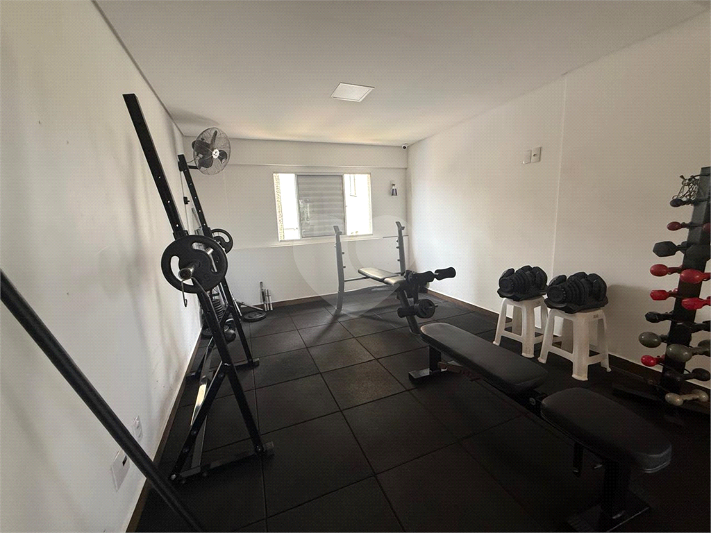 Apartamento - Venda - Santana- Mandaqui