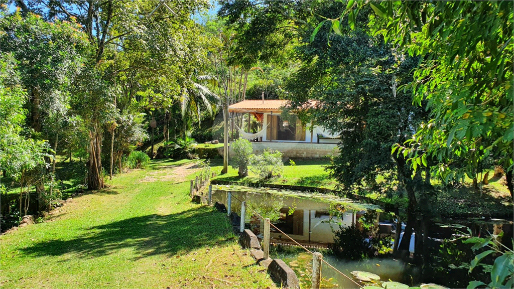 Fazenda, 36 hectares - Foto 8