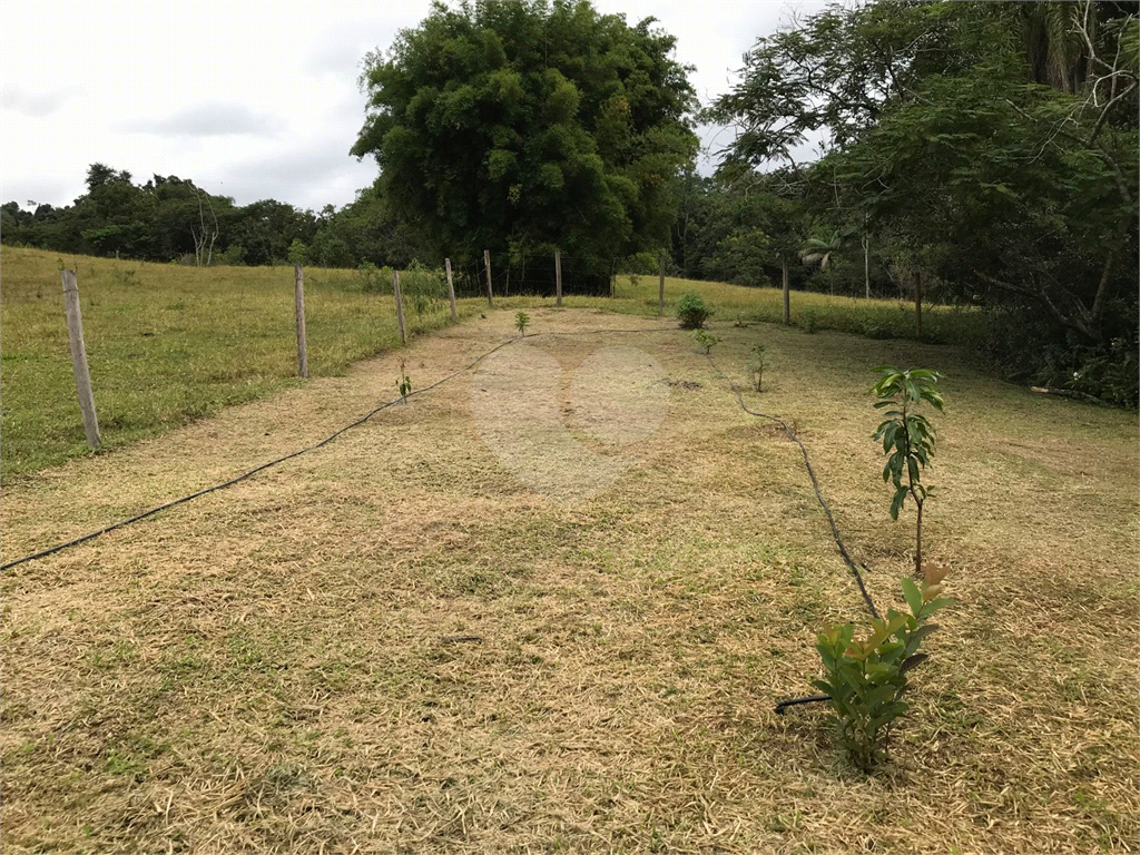 Fazenda, 36 hectares - Foto 10