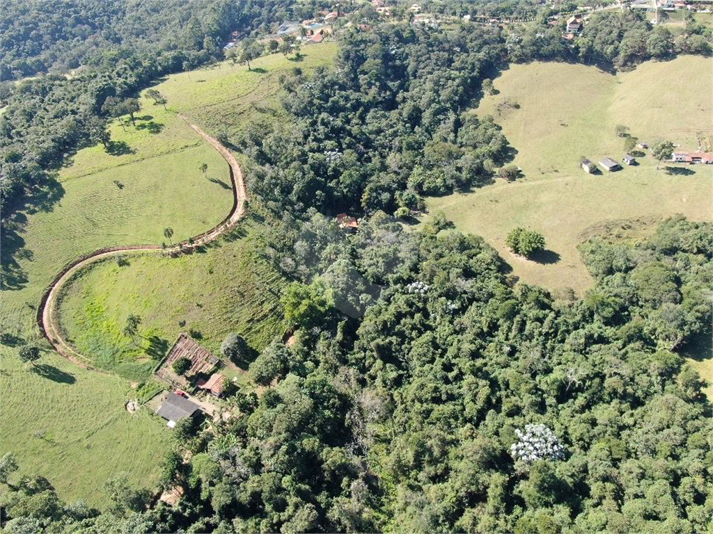 Fazenda, 36 hectares - Foto 12