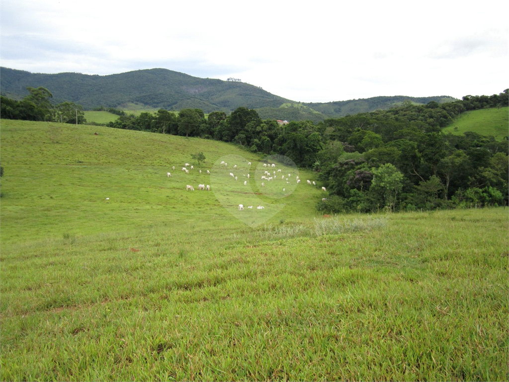 Fazenda, 36 hectares - Foto 16