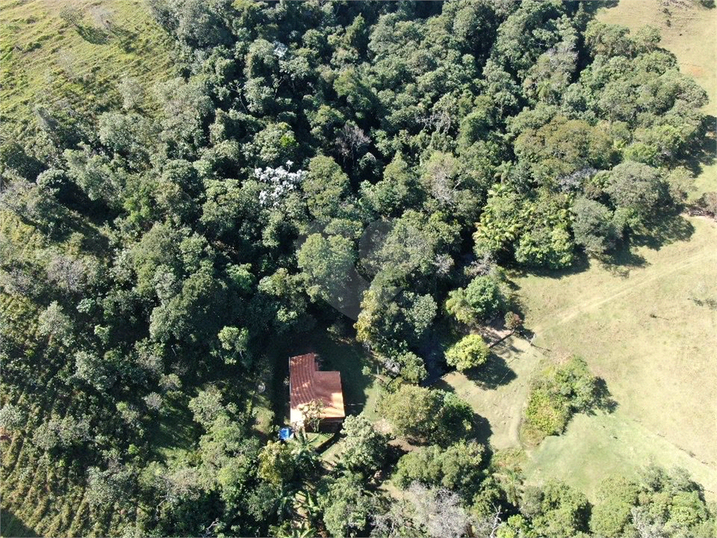 Fazenda, 36 hectares - Foto 11