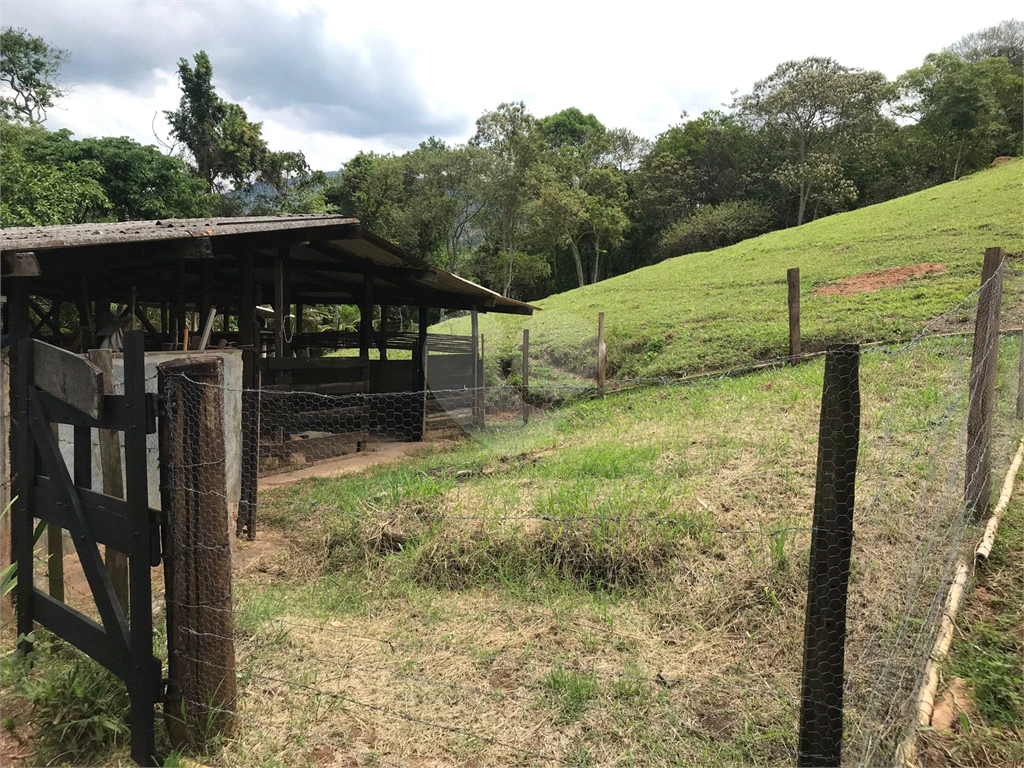 Fazenda, 36 hectares - Foto 6