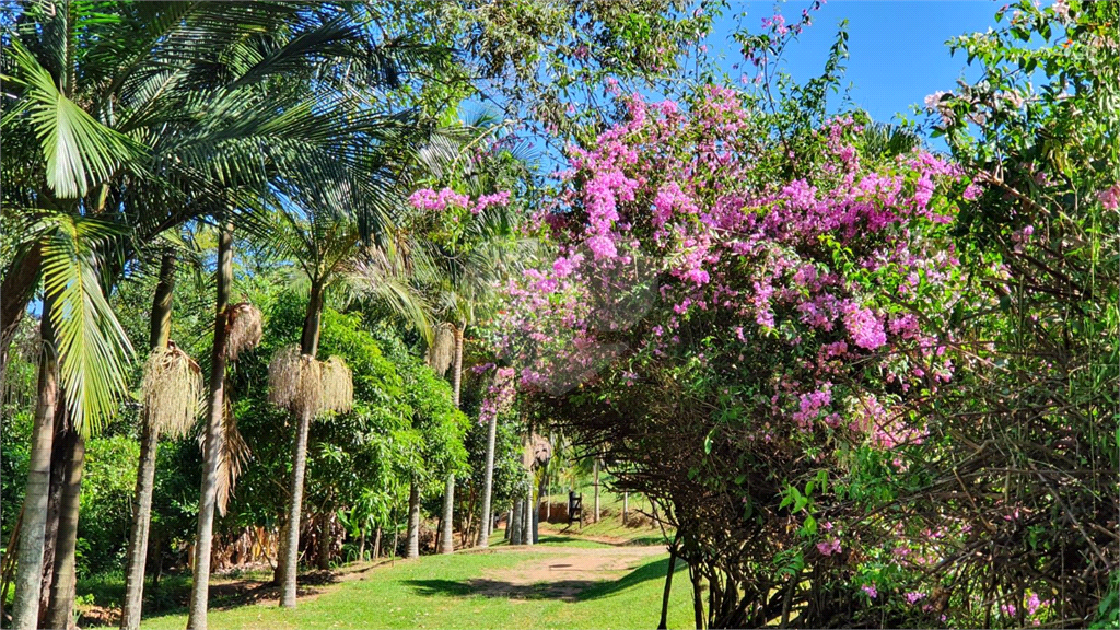 Fazenda, 36 hectares - Foto 9