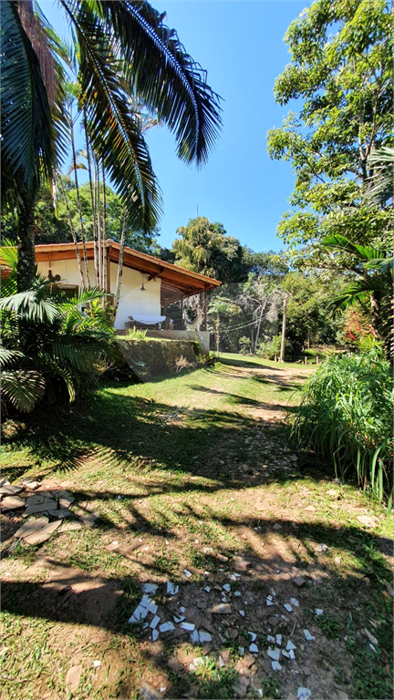 Fazenda, 36 hectares - Foto 7