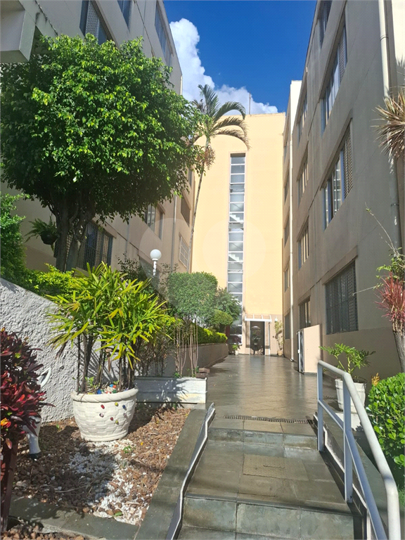 Apartamento  na  Casa  Verde  Alta 