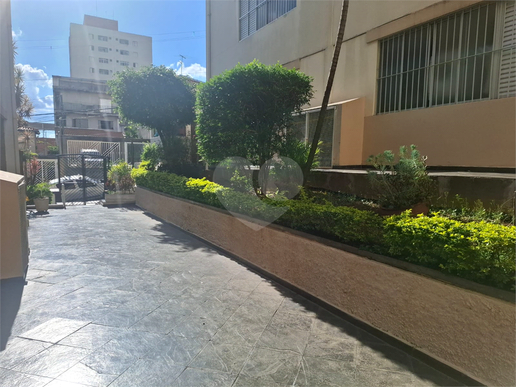 Apartamento  na  Casa  Verde  Alta 