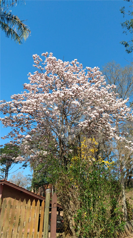 Chácara, 4 quartos, 6970 m² - Foto 8