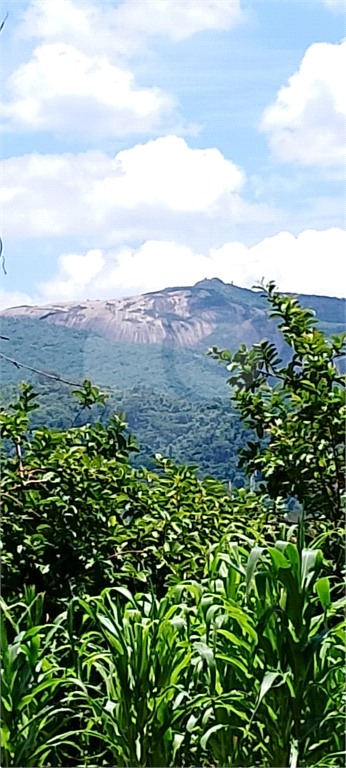 Chácara, 4 quartos, 6970 m² - Foto 4