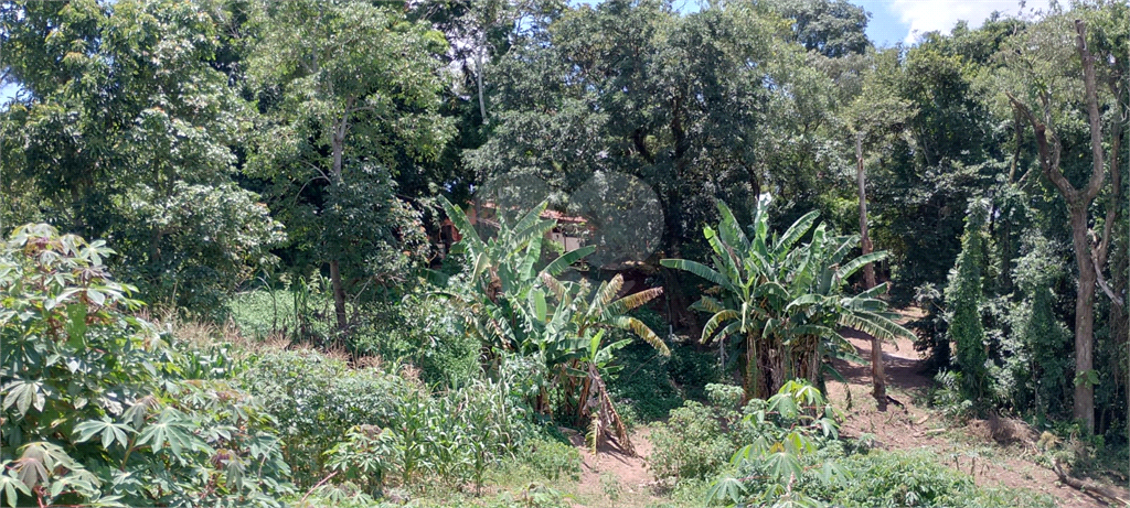 Chácara, 4 quartos, 6970 m² - Foto 11