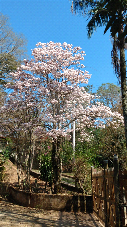 Chácara, 4 quartos, 6970 m² - Foto 5