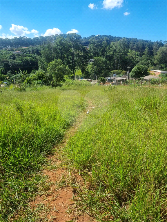 Terreno, 2038 m² - Foto 11