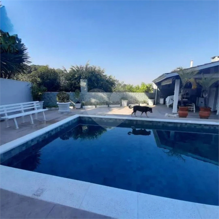 Casa, 5 quartos, 500 m² - Foto 4