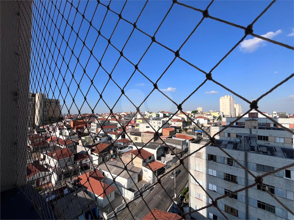 Apartamento para locação – Av. Júlio Buono