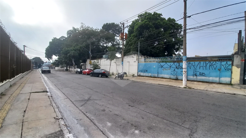 Terreno Amplo e Plano  à Venda no Jaçanã – Próximo ao Metrô Tucuruvi - 11,20 x 33,00