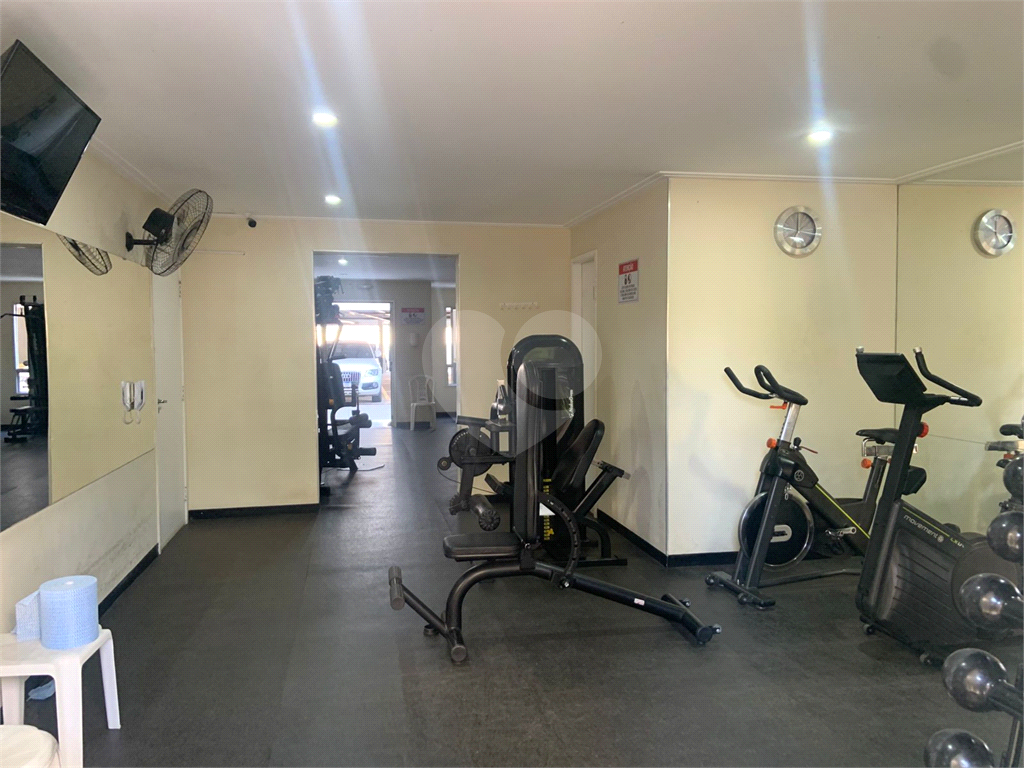 APARTAMENTO em LAPA