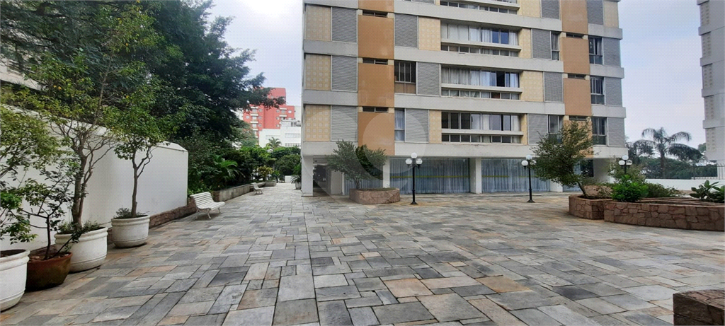 Apartamento 3 Dormitórios - 1 Suíte - Sumaré