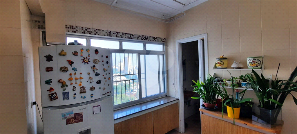 Apartamento 3 Dormitórios - 1 Suíte - Sumaré