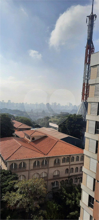 Apartamento 3 Dormitórios - 1 Suíte - Sumaré