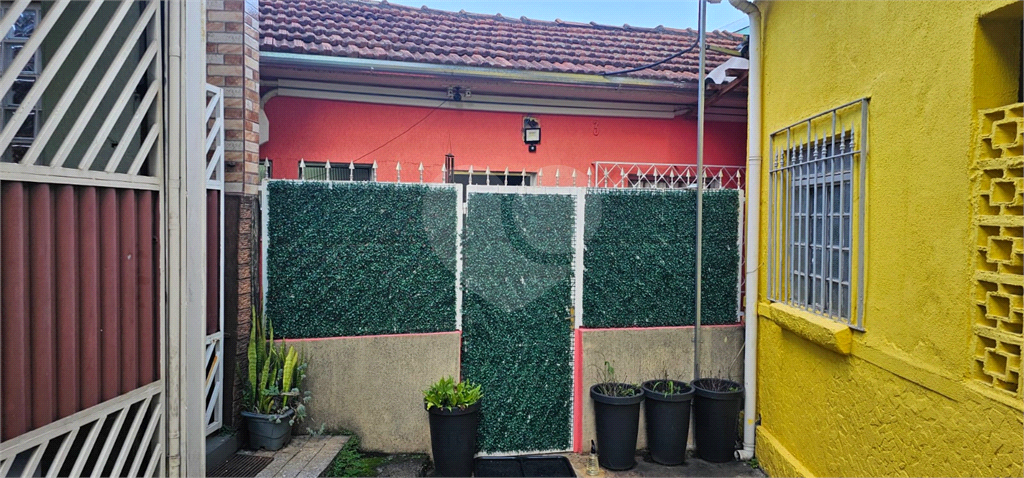 Casa de Vila no Tucuruvi