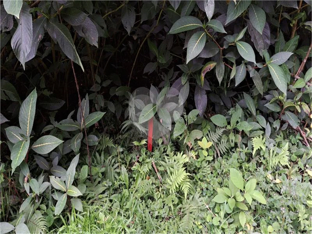 Casa de Condomínio - Foto 10