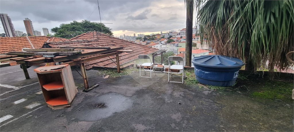 TERRENO em TUCURUVI
