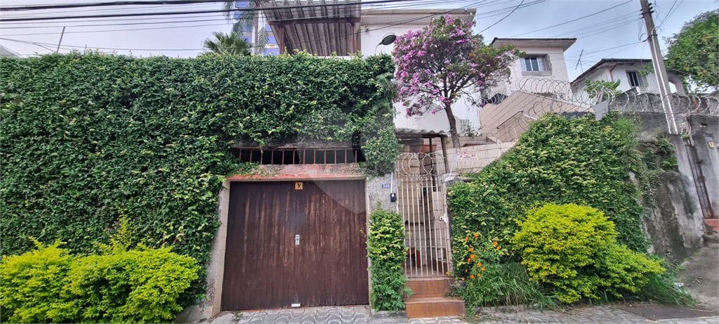 TERRENO em TUCURUVI