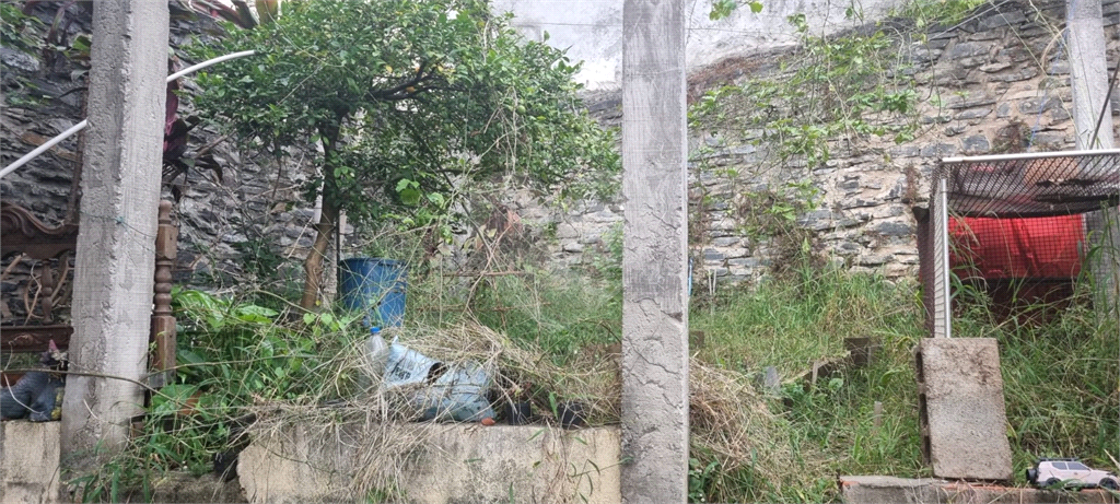 TERRENO em TUCURUVI