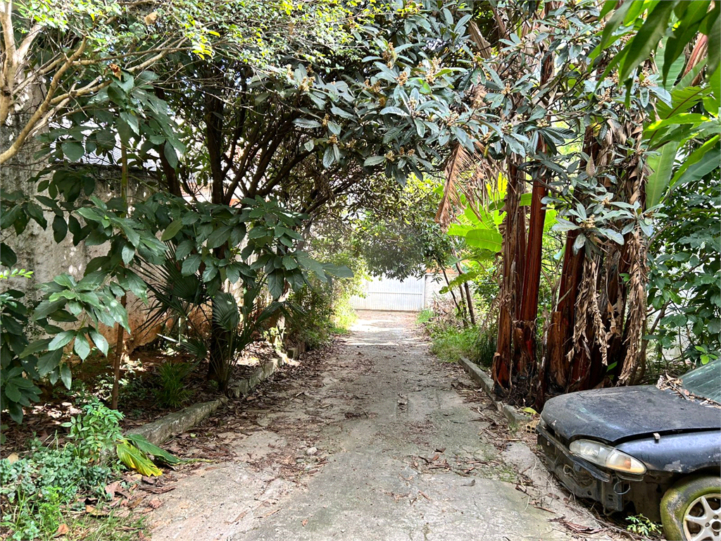 TERRENO em CASA VERDE